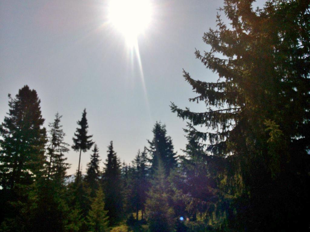 Ferienwohnungen Lemberger Krimml Bagian luar foto