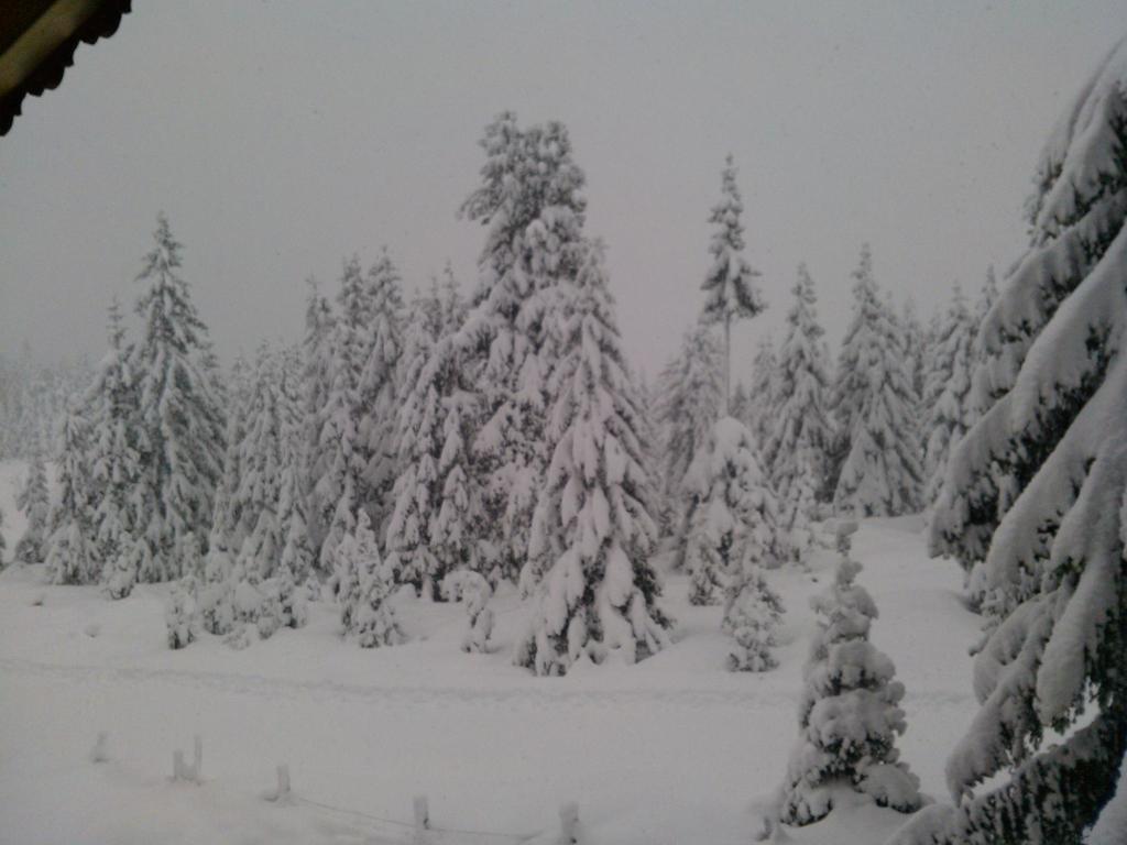 Ferienwohnungen Lemberger Krimml Bagian luar foto